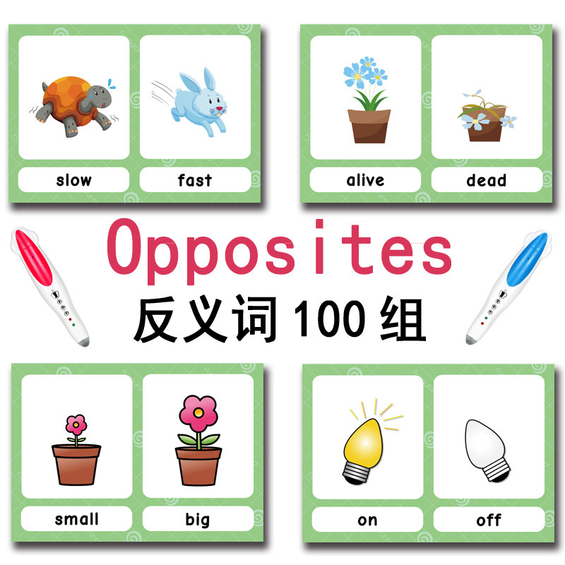 แฟลชการ์ดคำศัพท์ภาษาอังกฤษ 100 - Kids Educational Gadget บทวิจารณ์และราคา