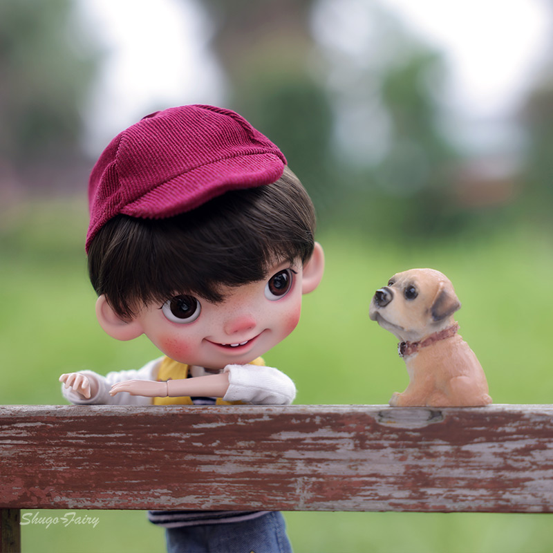 ตุ๊กตา BJD Jief ขนาด 1/6 รุ่น  - Kids Education App บทวิจารณ์และราคา